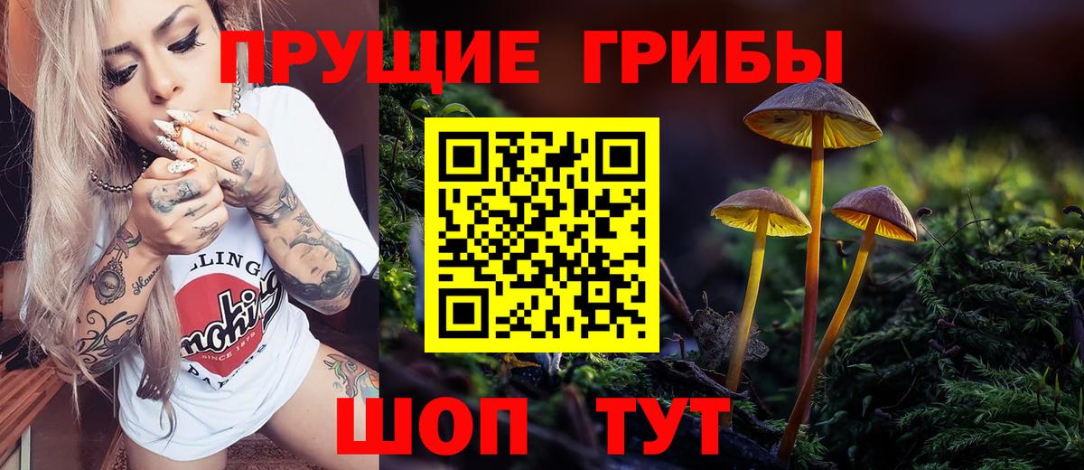 где найти наркотики  Вход с VPN  Тольятти  Псилоцибиновые грибы мухоморы 