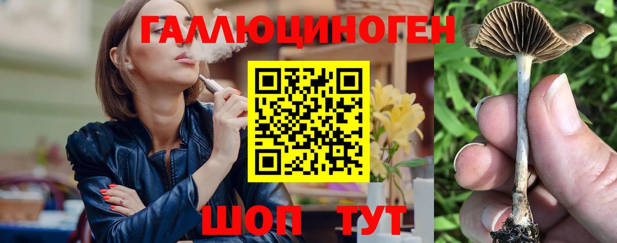 Псилоцибиновые грибы ЛСД Тольятти
